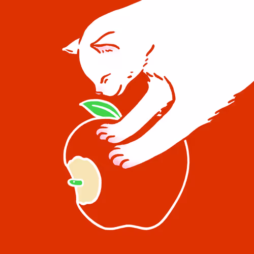 100546326840938006351179611880488389822132399347808687645215853925030351077377