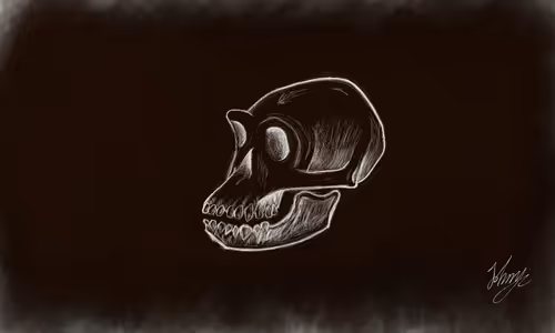 Item #105288803146246383568198026595242847884682393867054726493611635792708219437057 Media