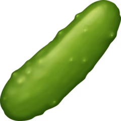 Zucchini