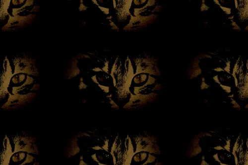 Item #95930744612989253264341458363878669706731092846429446161851758920183358423041 Media