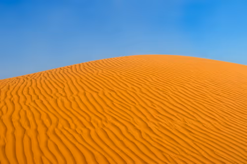 Item #12333759371985289416686528618250941787801478820548931806244366504228391223297 Media