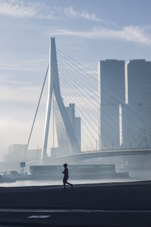 Item #63941686978381941053943929737968123784537789017631438611022902567842527313921 Media