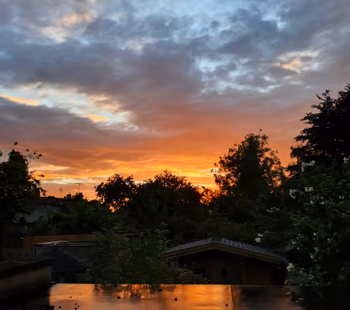 Item #52026421495237307124508671678768982950120800692193749930383155781306475872257 Media