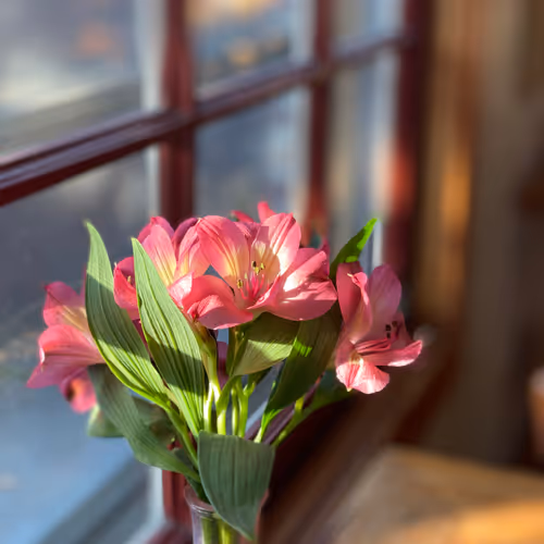 100225850833802309400907691213824965413149264301676048195047759945447262650369