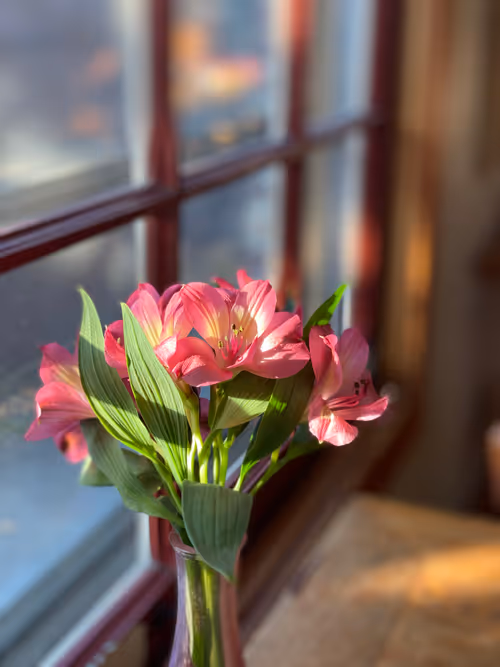 Item #100225850833802309400907691213824965413149264301676048195047759945447262650369 Media