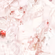 YunaPuck Collection