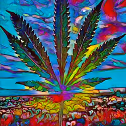 Cosmic Ride 420