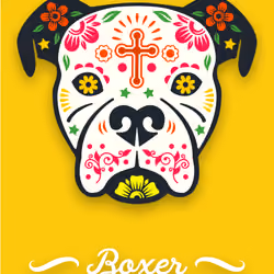 Sugar Skull Boxer