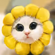 87585784605976875247844008338925931365801658389806841873332695264766661230602