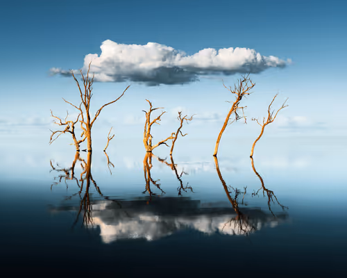 Item #28266442489825911887968052665080617766944267230687944042155433046139297857537 Media