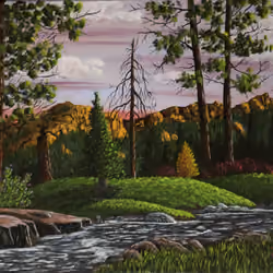 Forest Creek