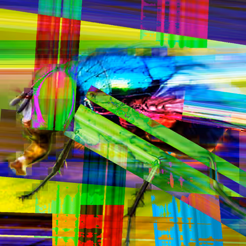 Item #48653799100012318570770790256965808514654415327640072251789586119845082038273 Media