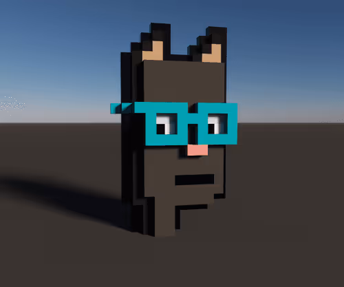 cMyVoxelKatz