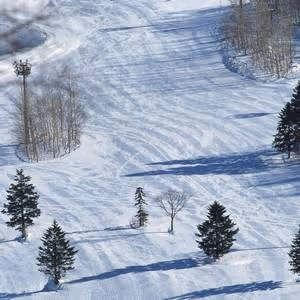 Item #72299350976815340695196313450713722337265431222110531150204485450653126098945 Media