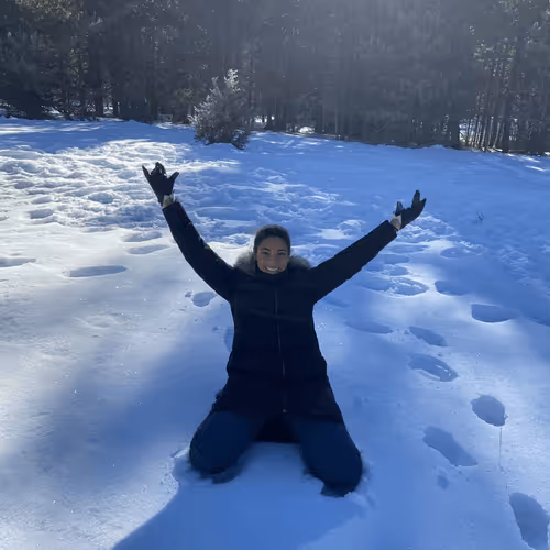 Untitled Collection #71678058