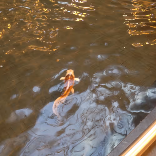 ZomBeGoneTV Collection