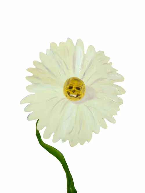 Item #69430838204844007640929930896662390536474801311847444827586886686206039425025 Media