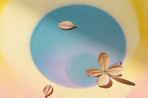 Item #1532535886274578000109639378906654235435135364662843185257811180770729918474 Media