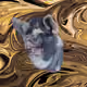 53180631642456764738139299674940583640479914081960747744151189777271262019585