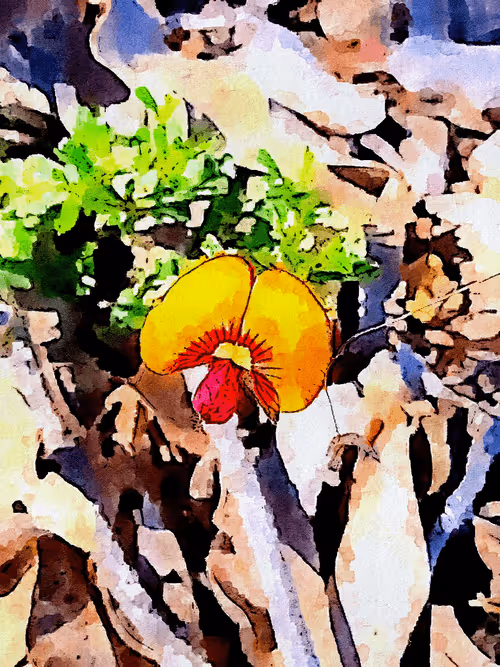 Item #23586274718377853504826207668531862457816485670593798671801516793451530682370 Media