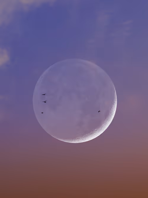 Item #52635344672284344927127524699842754890173282704640420392144903494890132865025 Media