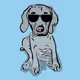 DiggetyDog.001-Weimaraner