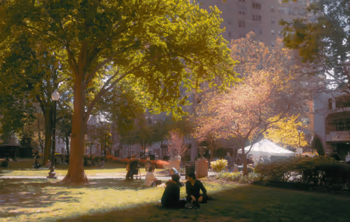 Editions by Oreste Mercado