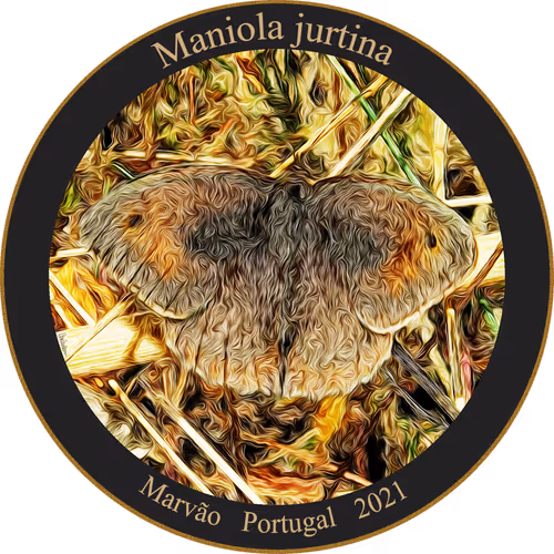 Item #83346383481971607988729477170446348570292642791419063456680174183587227107329 Media