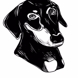 woof