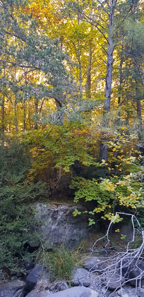 Item #105430292168461067605163639279760676416290262506760367786927535416078912978945 Media