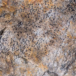 89716942802498903345130334803239853703441552995015827228005889652189915250689