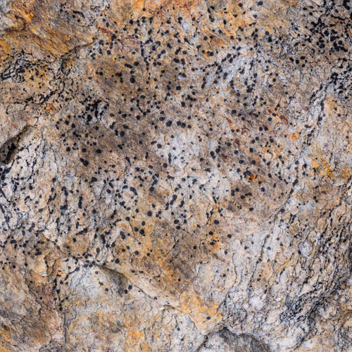 89716942802498903345130334803239853703441552995015827228005889652189915250689