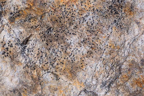 Item #89716942802498903345130334803239853703441552995015827228005889652189915250689 Media