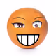 80940605832294165934145545207525018289759440138777973406002111484268709412865