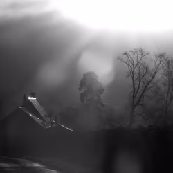 Backlight on the farm