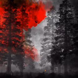 Whispers of the Burning Forest