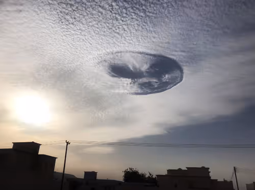 Item #115375755332542330133237168944702422006973148153706349190887072619613002924033 Media