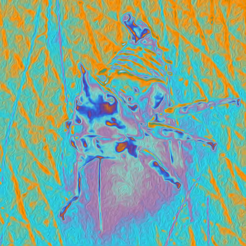 49349444770609105686801470716655642132398722781916722844497336649598113939457