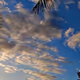 32996250389977492371623381729783537384884263960427415320963520271404899500033