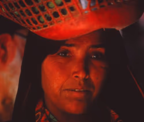 Item #65629298391447474271349290825881849632540670072734204406438730660682724802561 Media