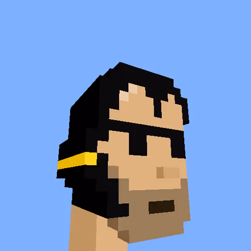 PunkVoxels #8707