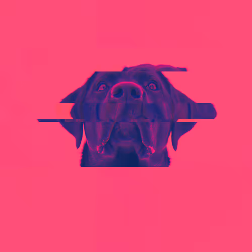 Minimaldoge