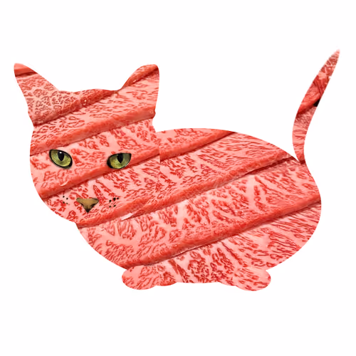 Item #7075100801842414929541159204983769780243264764604993181312715125788847898625 Media