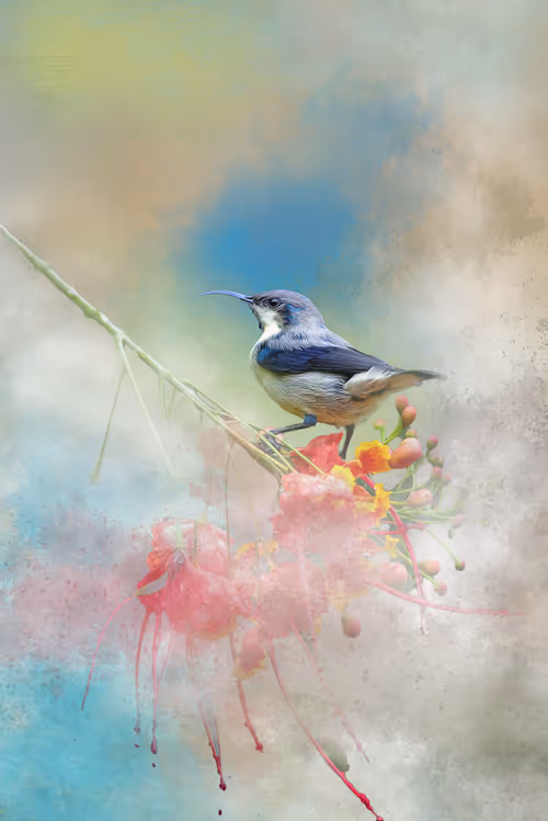 Item #20879904977050231781978559907445915739532146362246903749837269866629379915777 Media