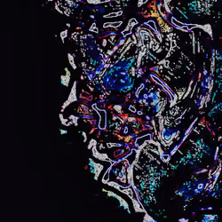 Inner Maze