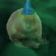 45450062711815515844283663728063810655345367107130296757055340143048898117633