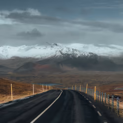 Road #11