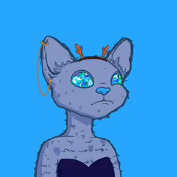 Devon Rex #23