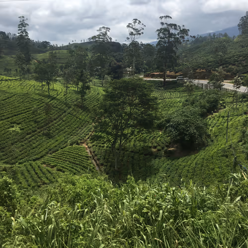 Untitled Collection #203899098