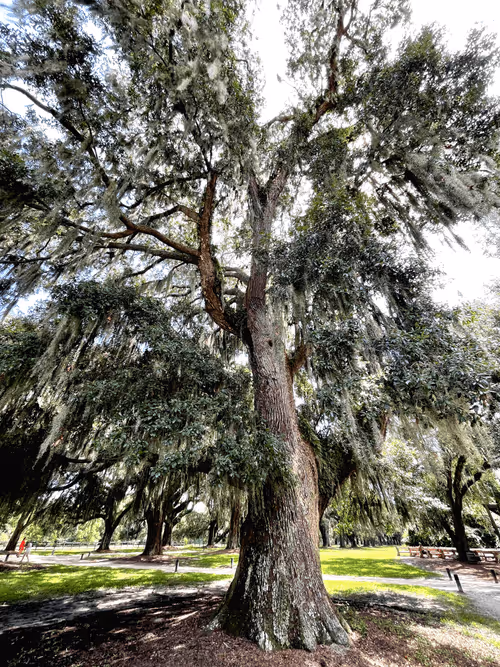 Item #60286361363657250857601775030637471218171117852543341295073304065728055345153 Media